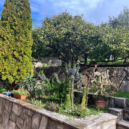 מליני Apartments Cvjetkovic מראה חיצוני תמונה