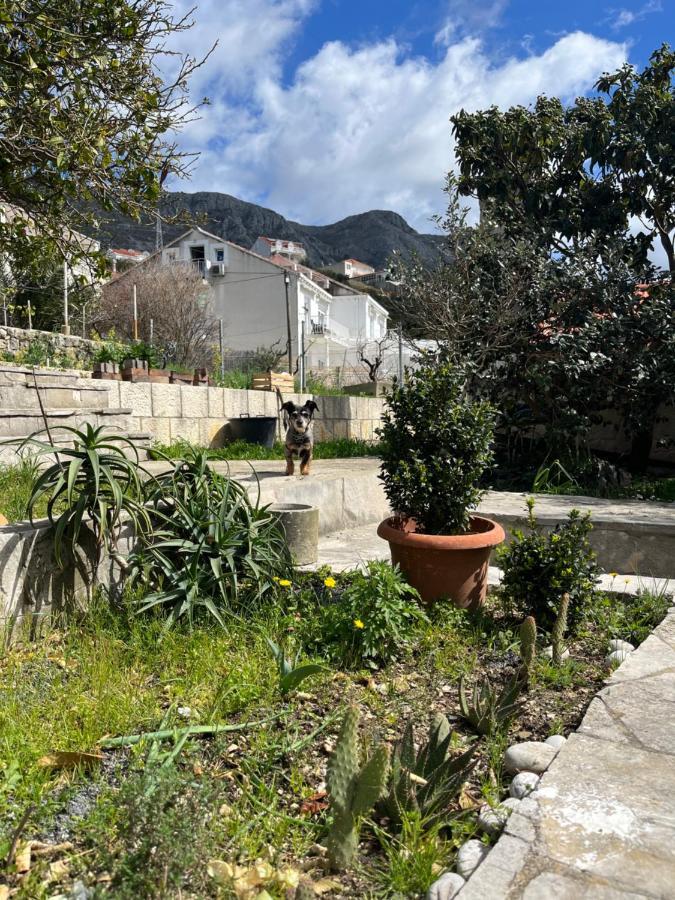 מליני Apartments Cvjetkovic מראה חיצוני תמונה