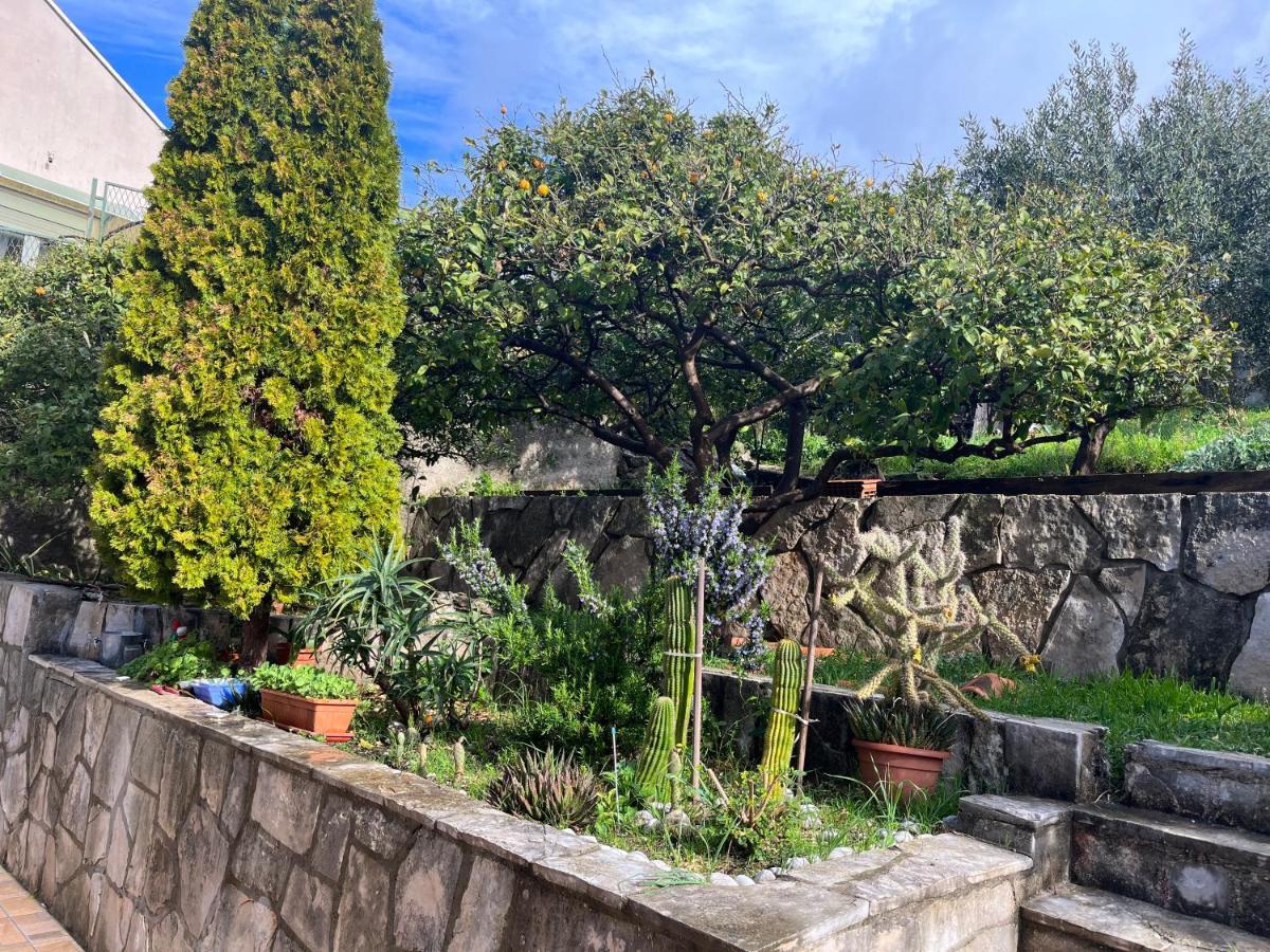 מליני Apartments Cvjetkovic מראה חיצוני תמונה