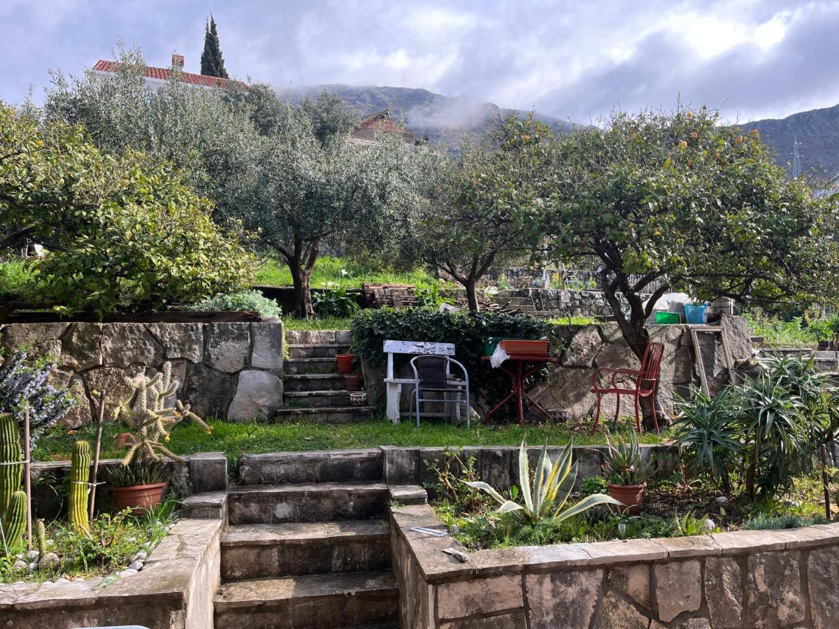 מליני Apartments Cvjetkovic מראה חיצוני תמונה